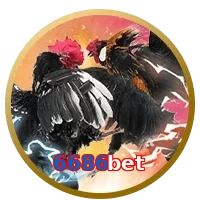 6686bet