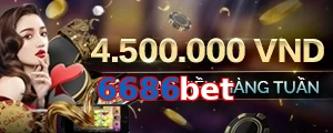 6686bet
