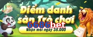 6686bet