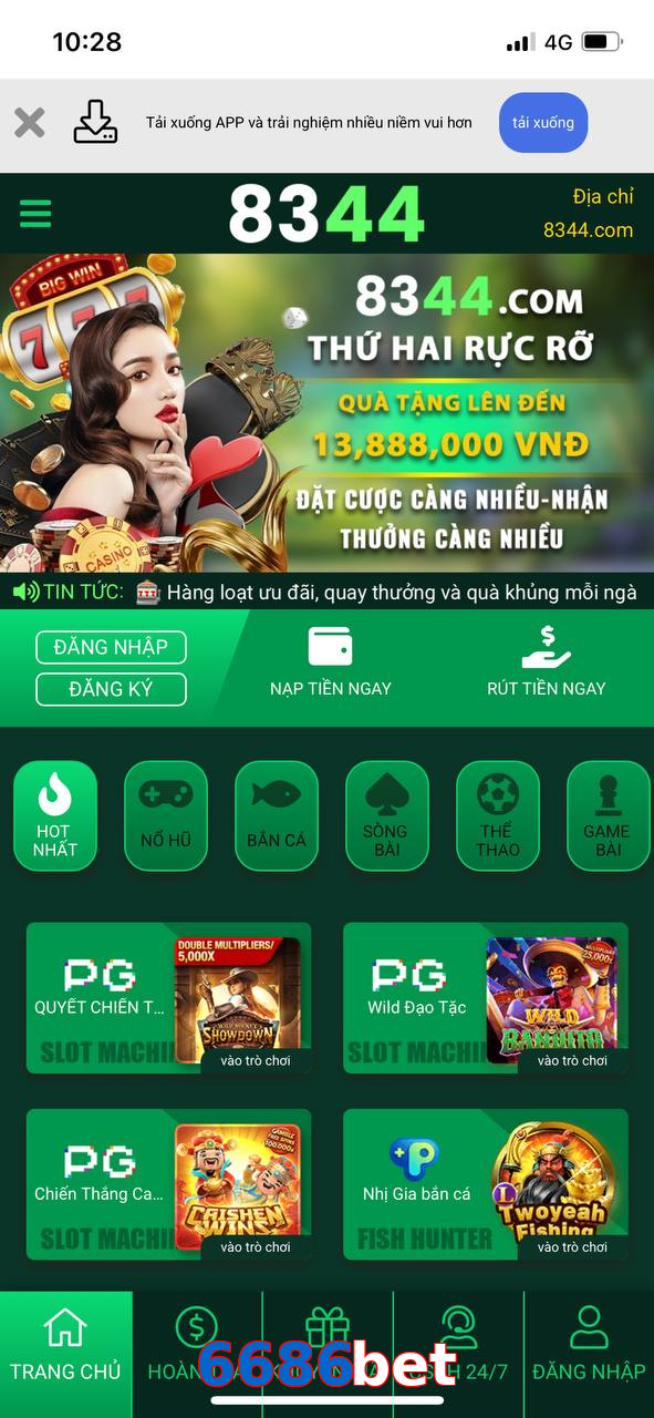 6686bet