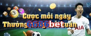 6686bet